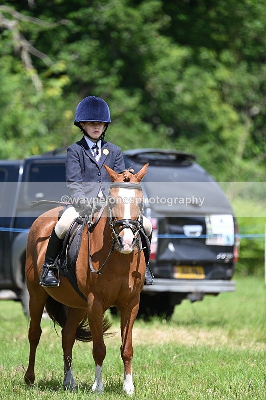 WJ7_1767 - Class 9 Pony Club Pony