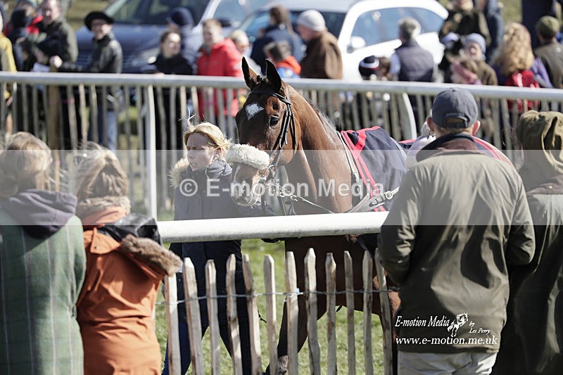 PtP 100423 692 - Old Berkshire Point-to-Point Lockinge 10/04/23