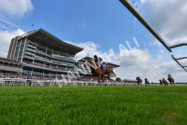 160524-Race 4-Economics-2-2 - Race 4 3.45pm Al Basti Equiworld Dubai Dante Stakes