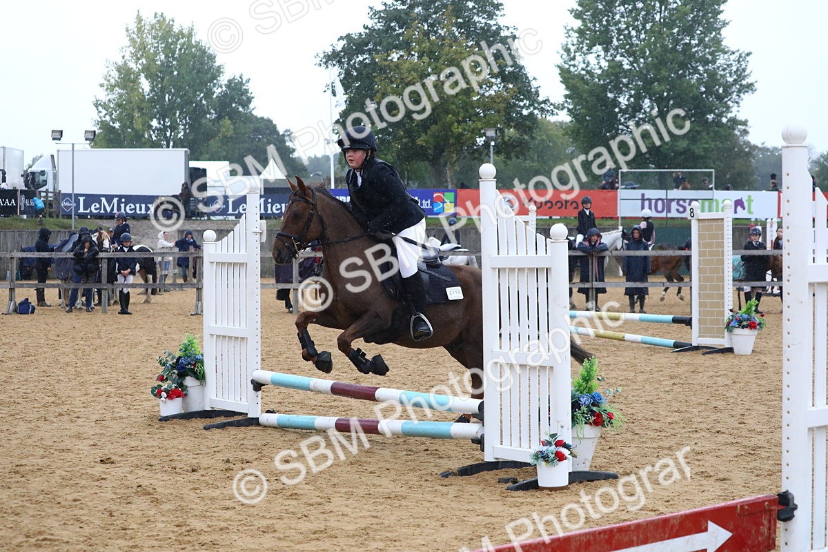 SBM_71475 - J4 - Mini Tour Junior Pony 45cm Championship