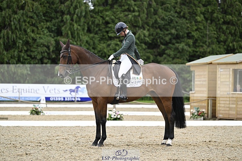 000101-212651-04313 - 412-WELLFIELDS_LINCOLN-Susie_Berry