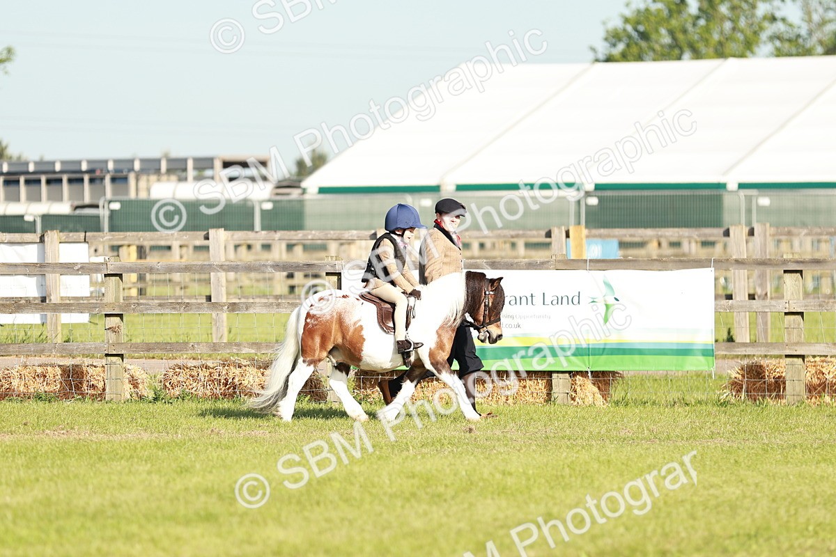 SBM_11064 - Class 106-107 - BSPS LIHS Working Sports Pony
