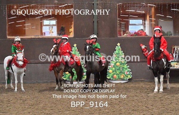 BPP_9164 - CLASS 3 50CM-70CM Pairs Show Jumping
