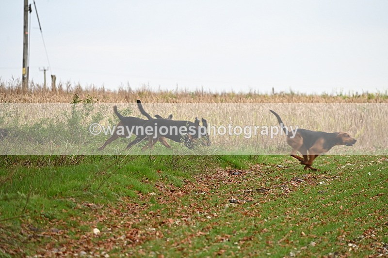 WJ6_9375 - Camera 2