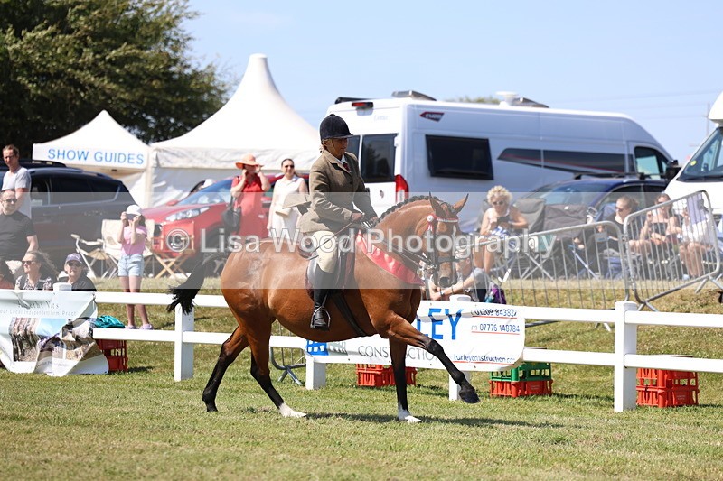3E7A7634 - Rising Star Ridden Championship