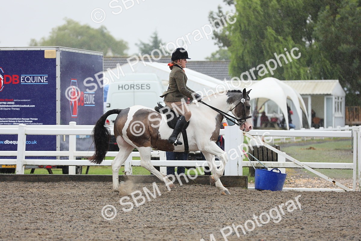 SBM_20613 - Class 804 - Ridden Veteran Pony