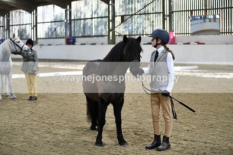 WJ5_3993 - Class 2 Best Condition In hand