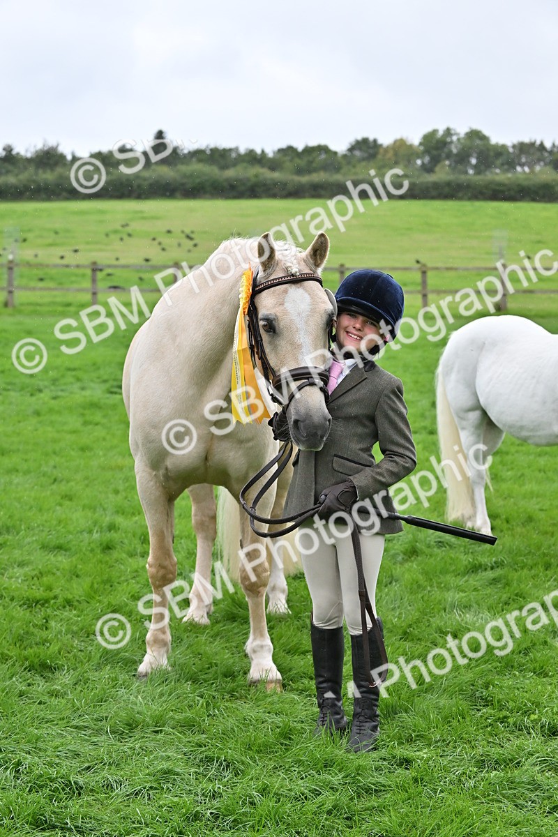 SBM_68646 - S42 - Junior Handler 9-12 Years