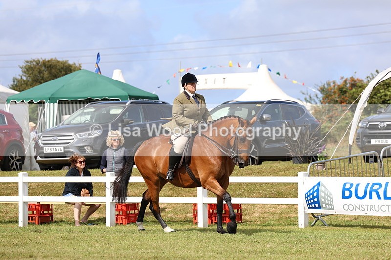 3E7A9433 - Class 4: Rising Star M/H Hunter