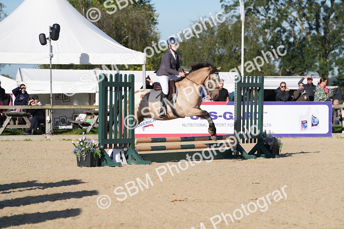 SBM_34465 - J62 - Clear Round 50cm