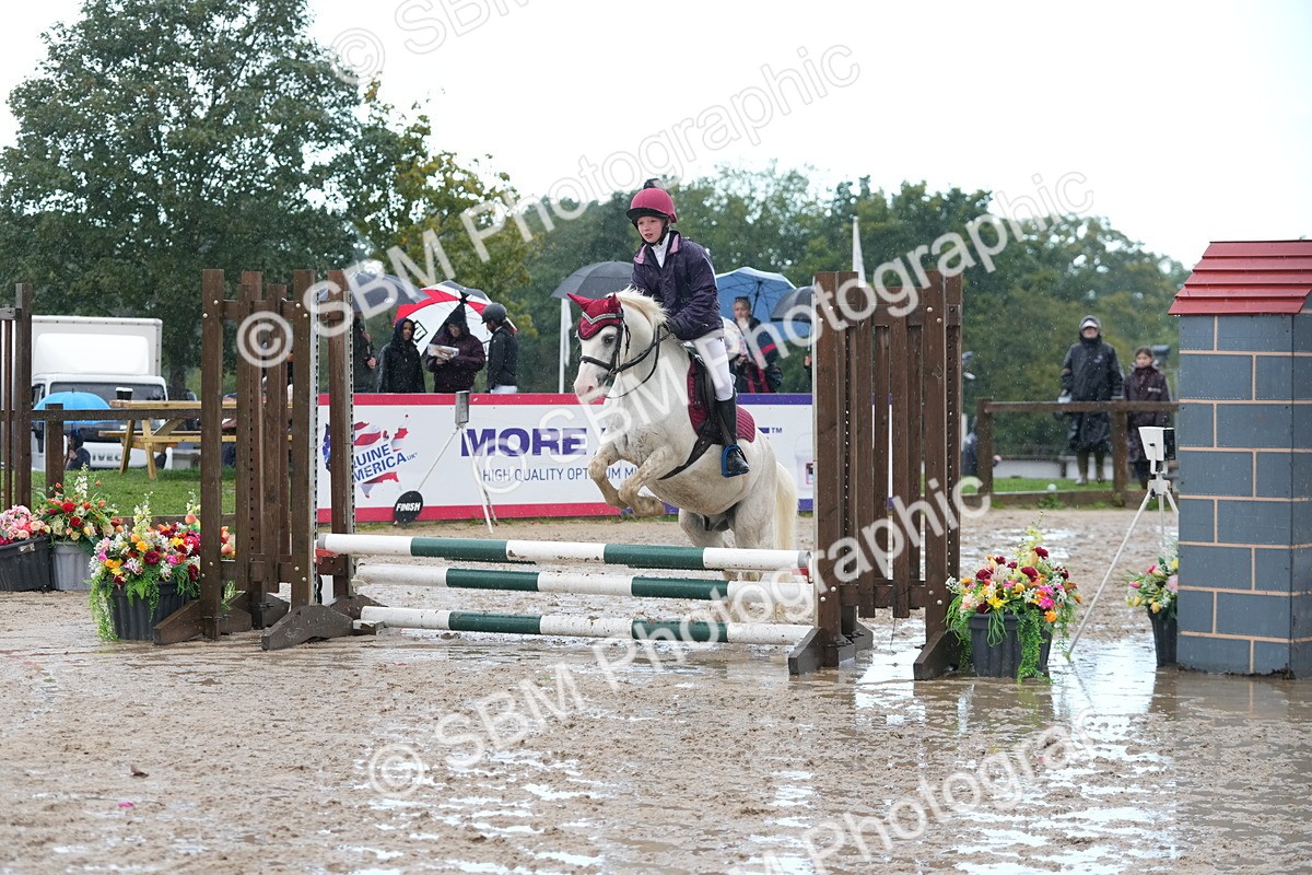 SBM_36311 - J5 - Junior Pony 50cm Championship
