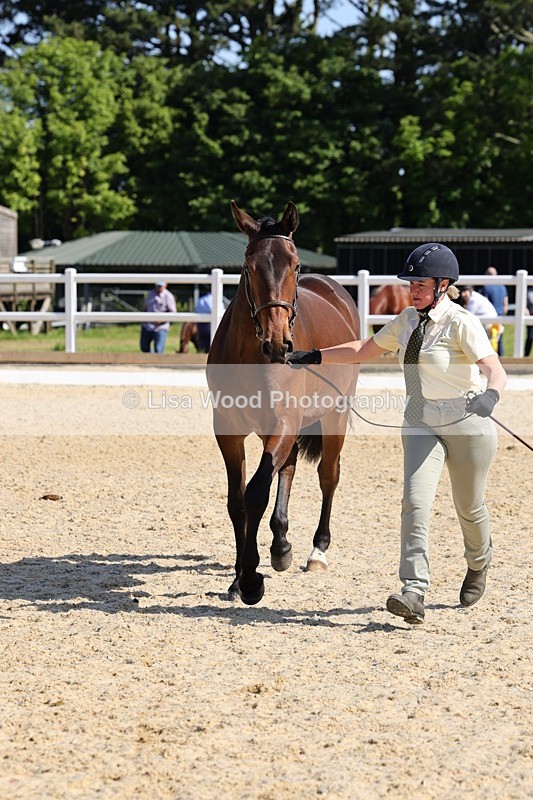 1X9A0798 - Class 4: Youngstock 1, 2, 3 year old to exceed 153cm