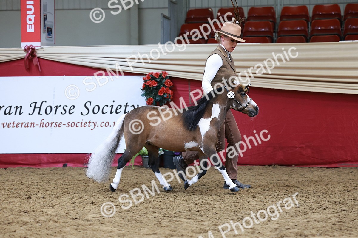 SBM_15723 - Class 110 - IH  Minature Horse