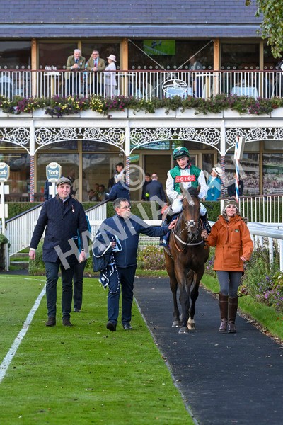 111024-Race 3-Minstrel Knight-1687 - Race 3 2.40pm William Hill Finale Handicap