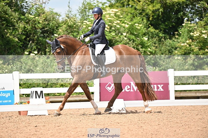 240621A-121915-02090 - Cls 7 BD Elementary 45