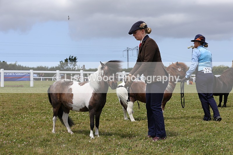 1X9A4794 - Class 35: Veteran In Hand