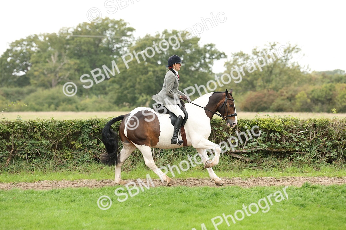 SBM_67333 - S67 - Piebald & Skewbald Horse Ridden
