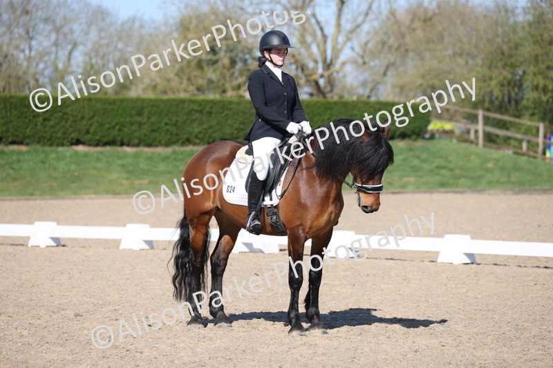 20250406-0447 - Class 3 - Novice 5