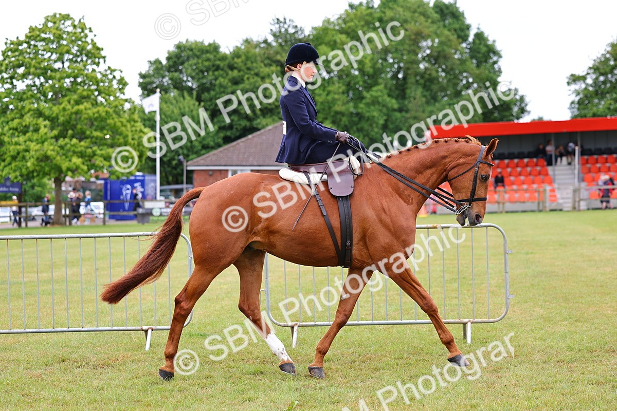 SBM_02707 - Class 9-11 Side Saddle including LIHS Rising Star Ladies Show Horse