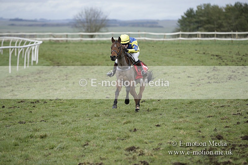 PtP 150320 0821 - New Forest Point-to-Point Larkhill 15/03/20