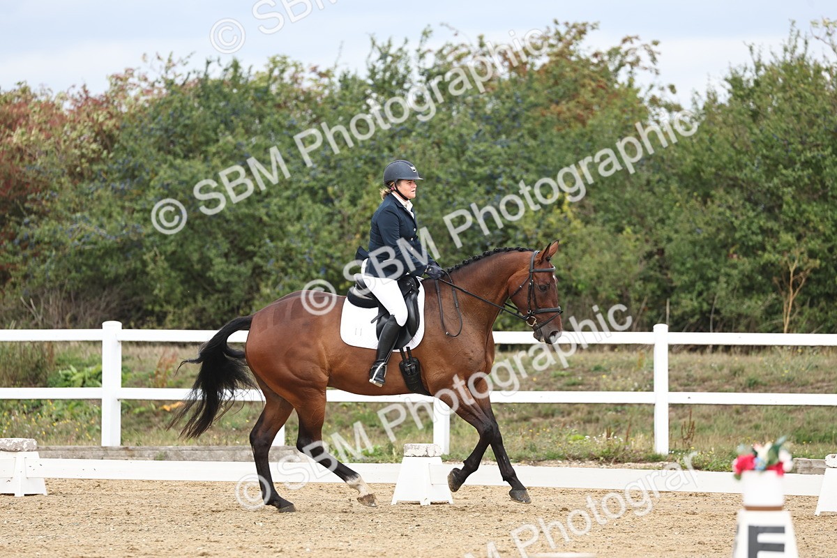 SBM_002595 - Class 7 - Novice 2 Warm Up