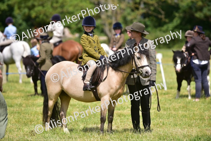 20260614-1240 - Class 11a - Lead Rein Pony (Unplaited)