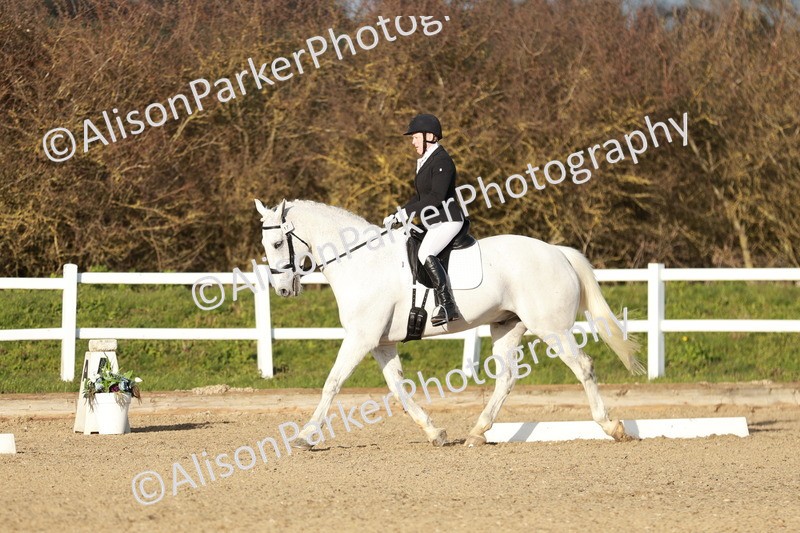 20260314-6268 - CT7 - Elementary 2