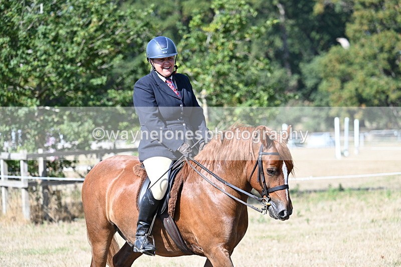 WJ7_3495 - Class 9 Mountain & Moorland Ridden