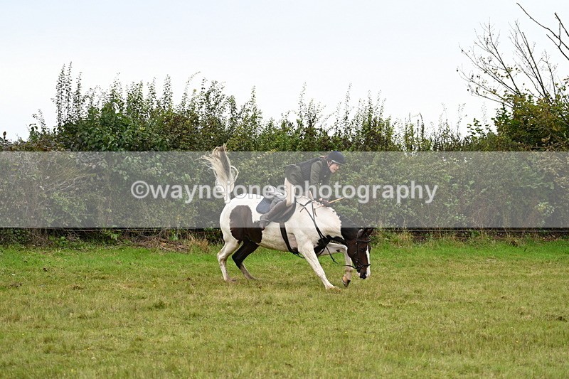 WJ7_4188 - Camera 1 Line 2