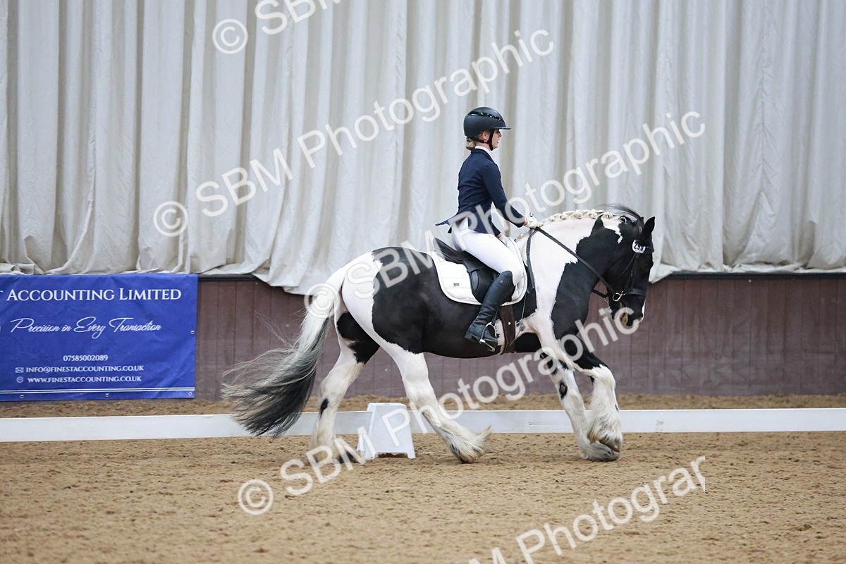 SBM_004567 - Ring 3 - International -  Working Hunter Classes 23-2-25