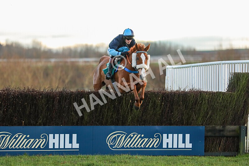 281224-Race 5-Poetry Man-1637 - Race 5