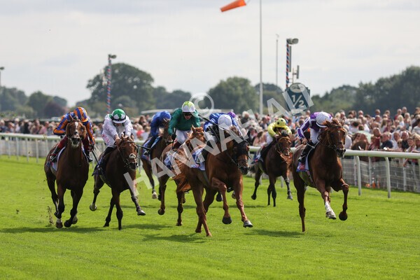 yr18082021r3-54 - Race 3 3.00pm Sky Bet Great Voltigeur Stakes