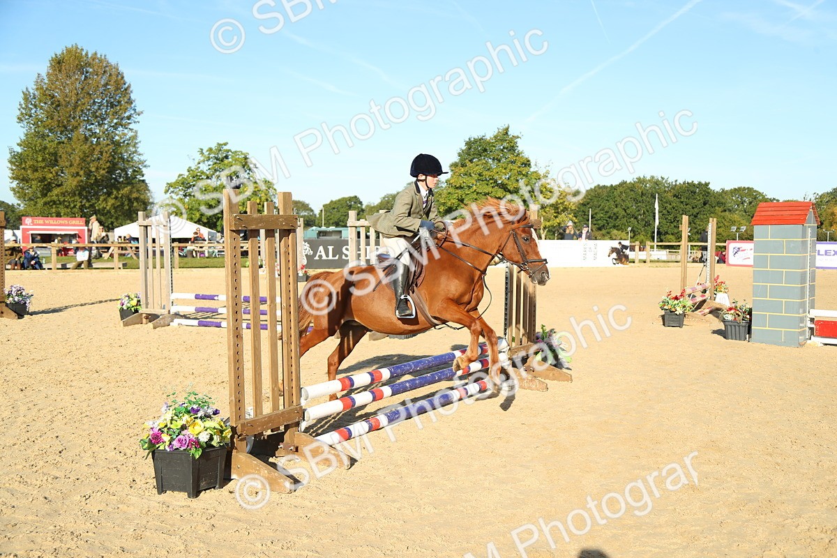 SBM_35031 - J5 - Junior Pony 50cm Championship