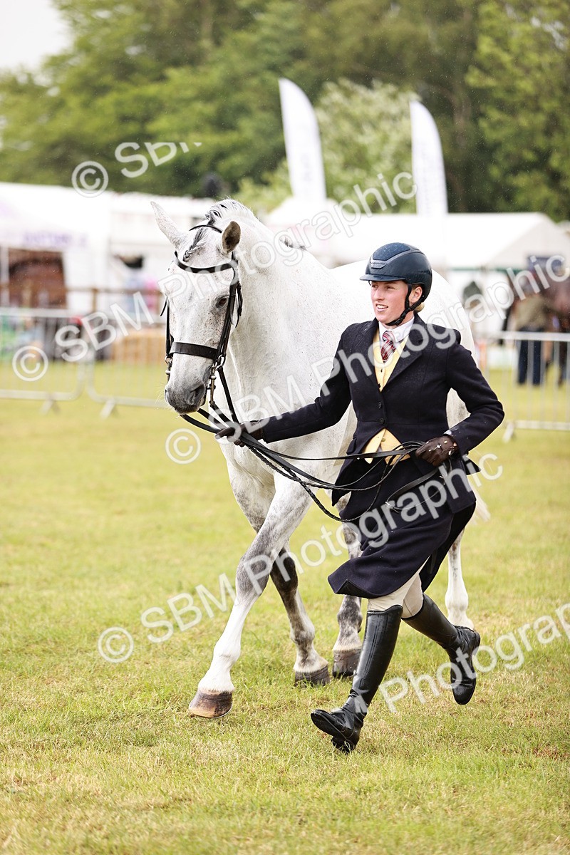 SBM_11000 - Class 81-84 - RIHS Ridden hunters Inc Ladies Hunter
