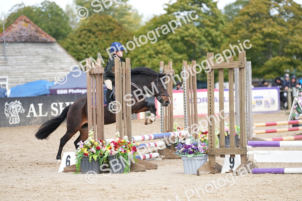 SBM_21331 - J49 - Open 50cm