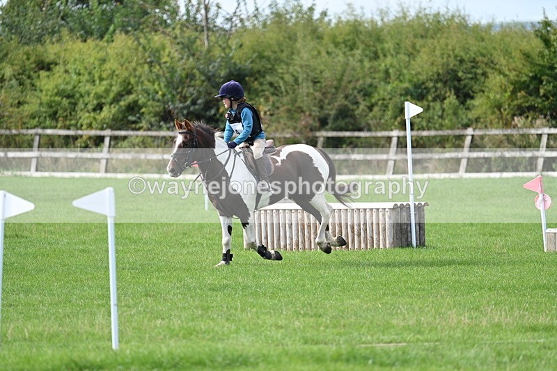 WJ7_8456 - 60cm Pairs