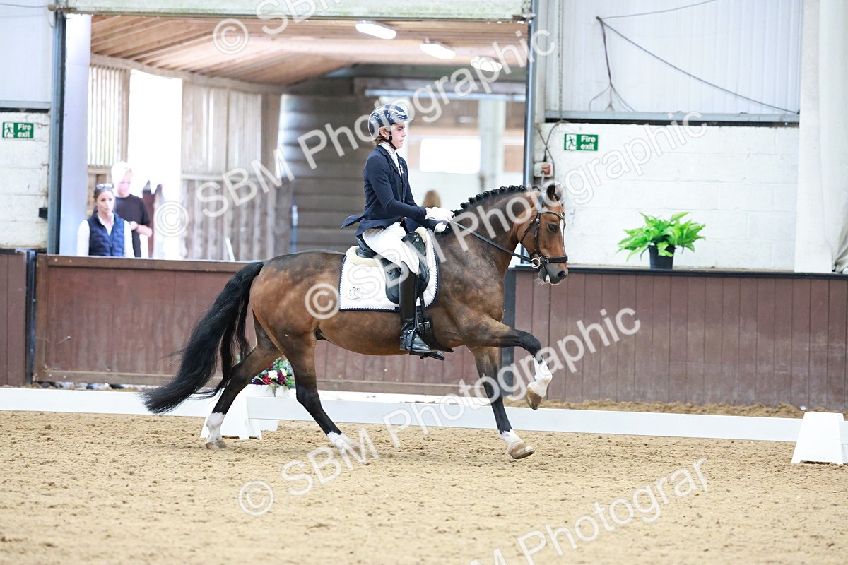 SBM_017152 - Class15 - FEI Pony