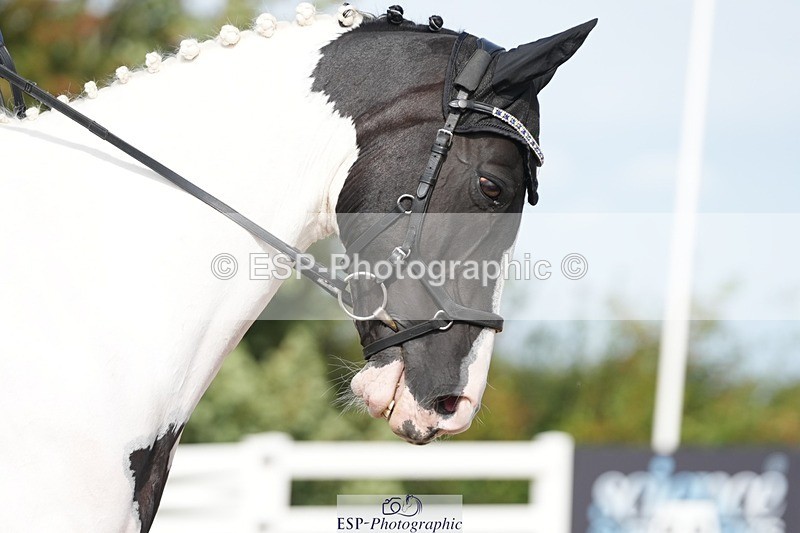 250906-105045-01334 - 077-Sarah.WallDerryroane.Lad