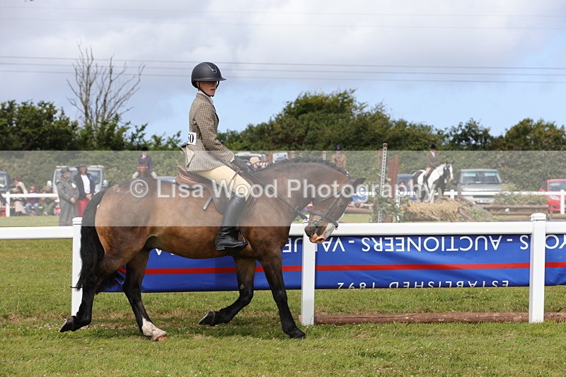1X9A3965 - Class 32: Show Hunter Pony 153cm and under