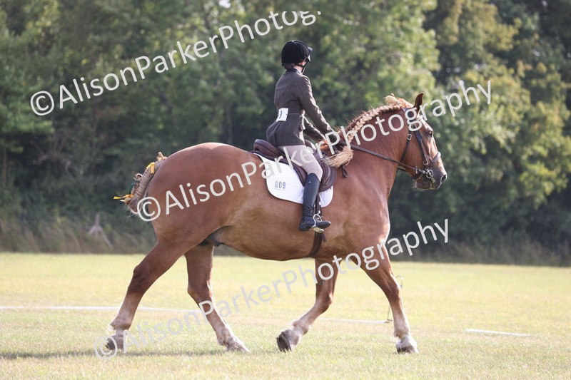 20250731-0565 - Class 1 - Intro 4