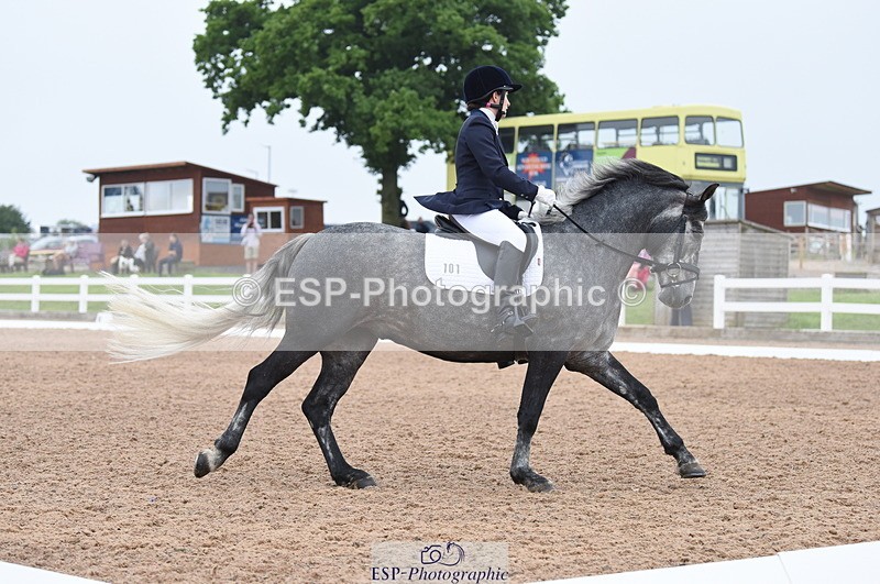 230708A-103918-01428 - Prelim 7