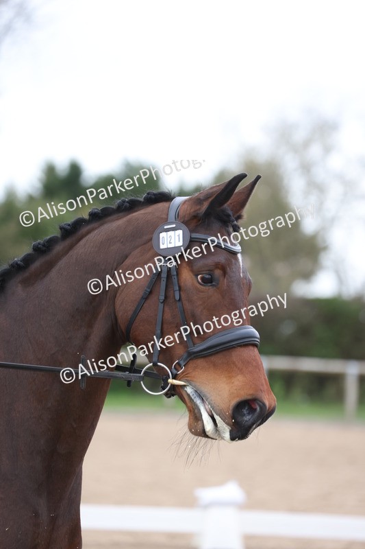 20260301-0438 - Class 3 - Novice 4