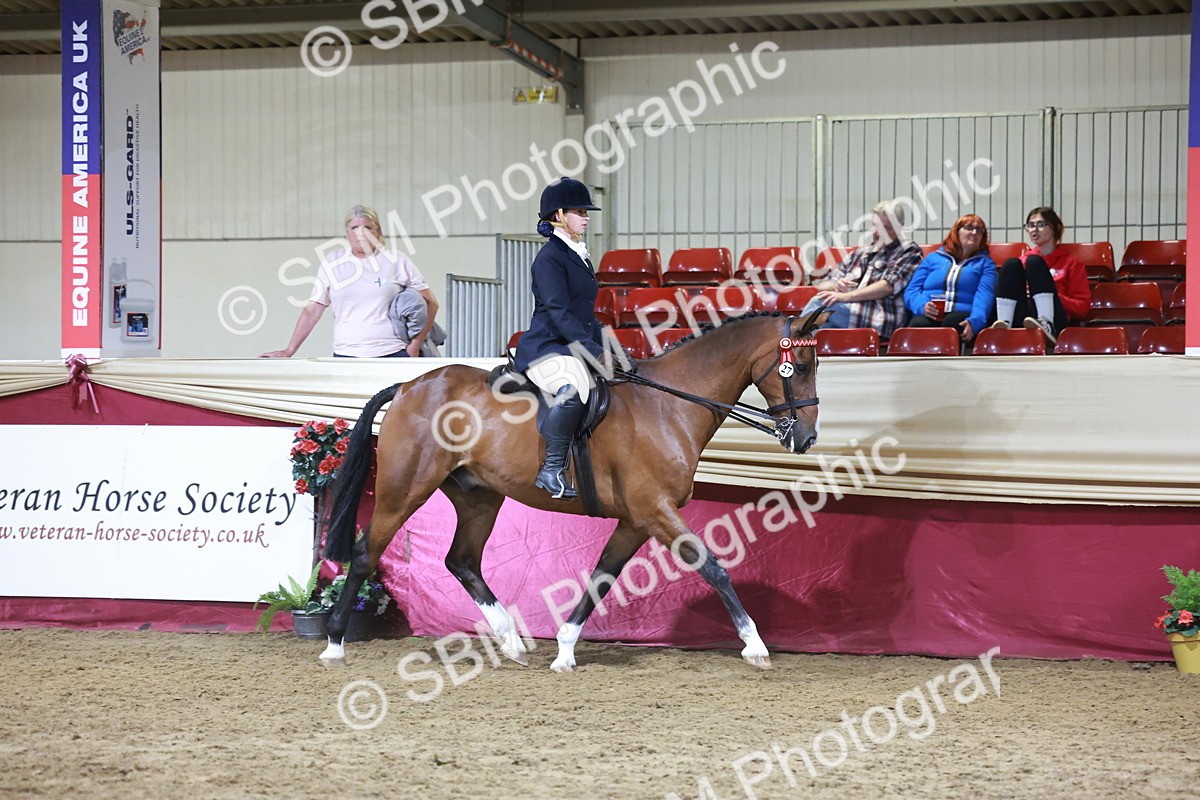 SBM_21139 - class Q - Ridden Horse Champ