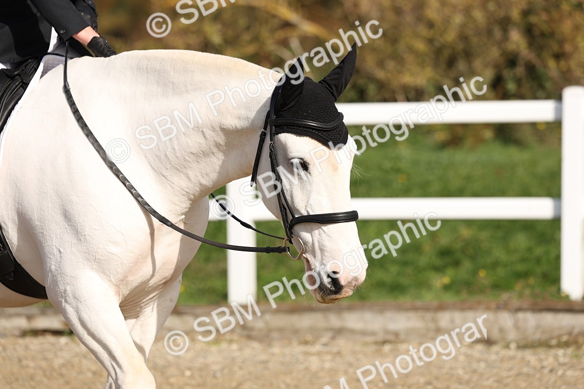 SBM_001401 - Class 3 - Novice 4