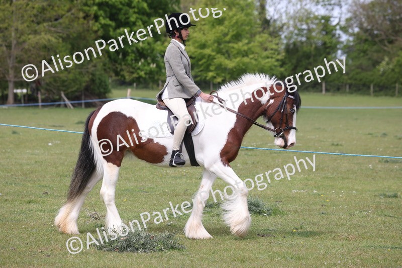 20260426-2893 - Class 33 - Best Pony 14.2hh and Under