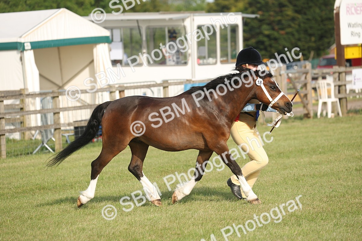 SBM_10589 - Class 33-38 - SSADL RIHS Qualifiers