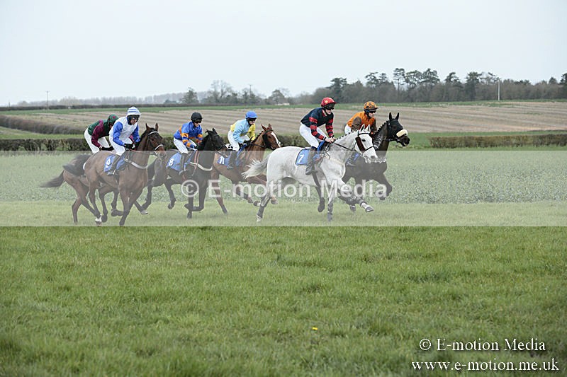 PtP 230319 84 - VWH Hunt Siddington Point-to-Point Racing 23/03/19