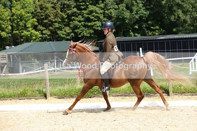 1X9A8357 - Class 13: Arab Ridden