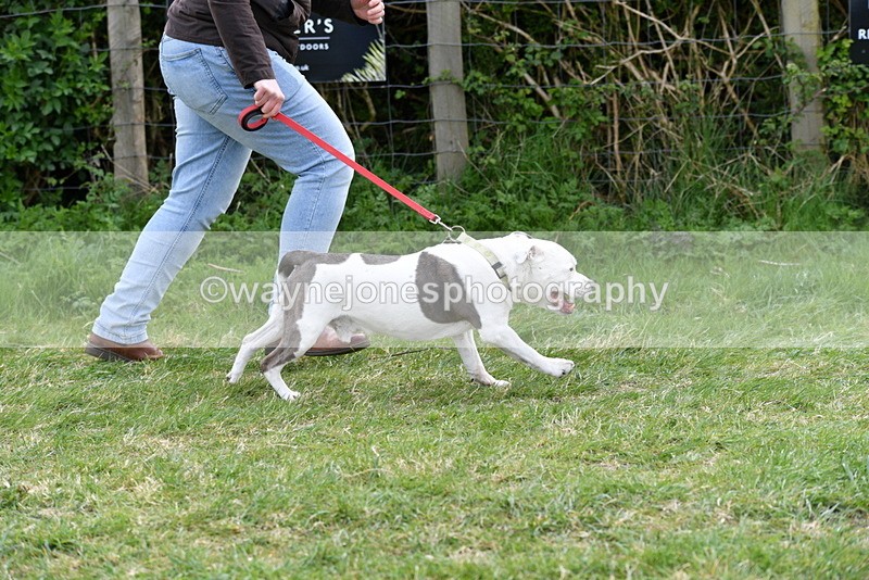 WJ5_9969 - Class 5 Best Veteran / 7 years & over