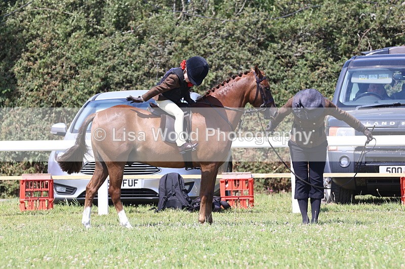 JPP_2300 - Class 20: Tiny Tots Working Hunter Pony